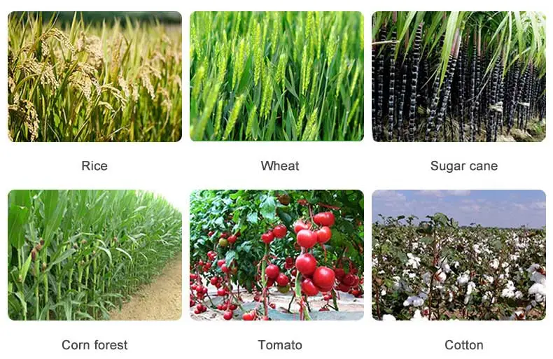 Imazethapyr Imazethapyr