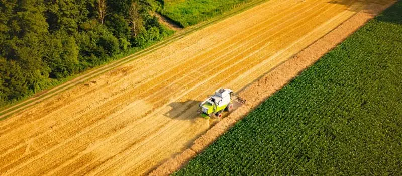 chloromequat chloride