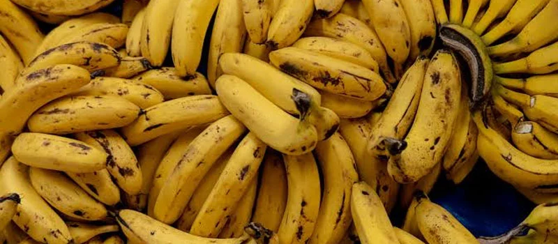 Propiconazole Propiconazole
