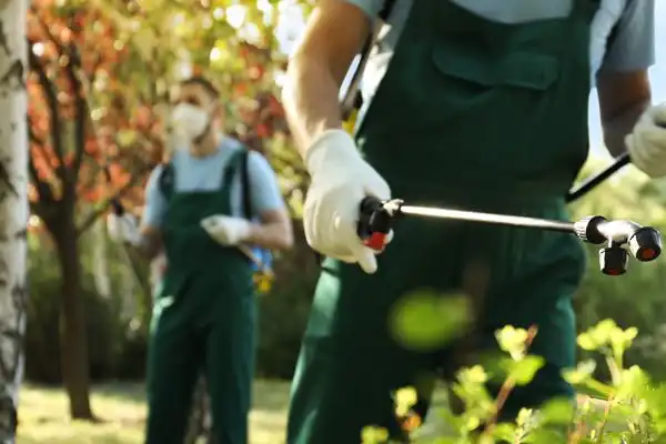 Azamethiphos 1% Insecticide Guide