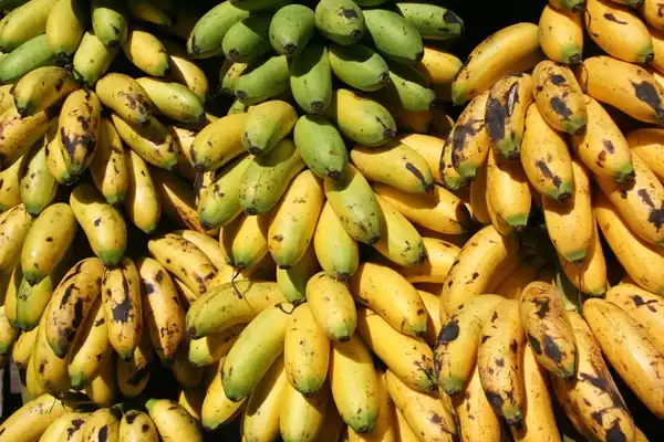What Is Propiconazole 95%TC Used For in Crop Protection?