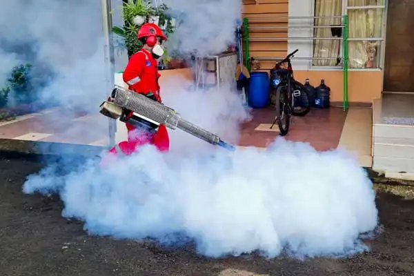 What Is Fipronil 80% Used For? Exploring Its Applications in Pest Control and Agriculture